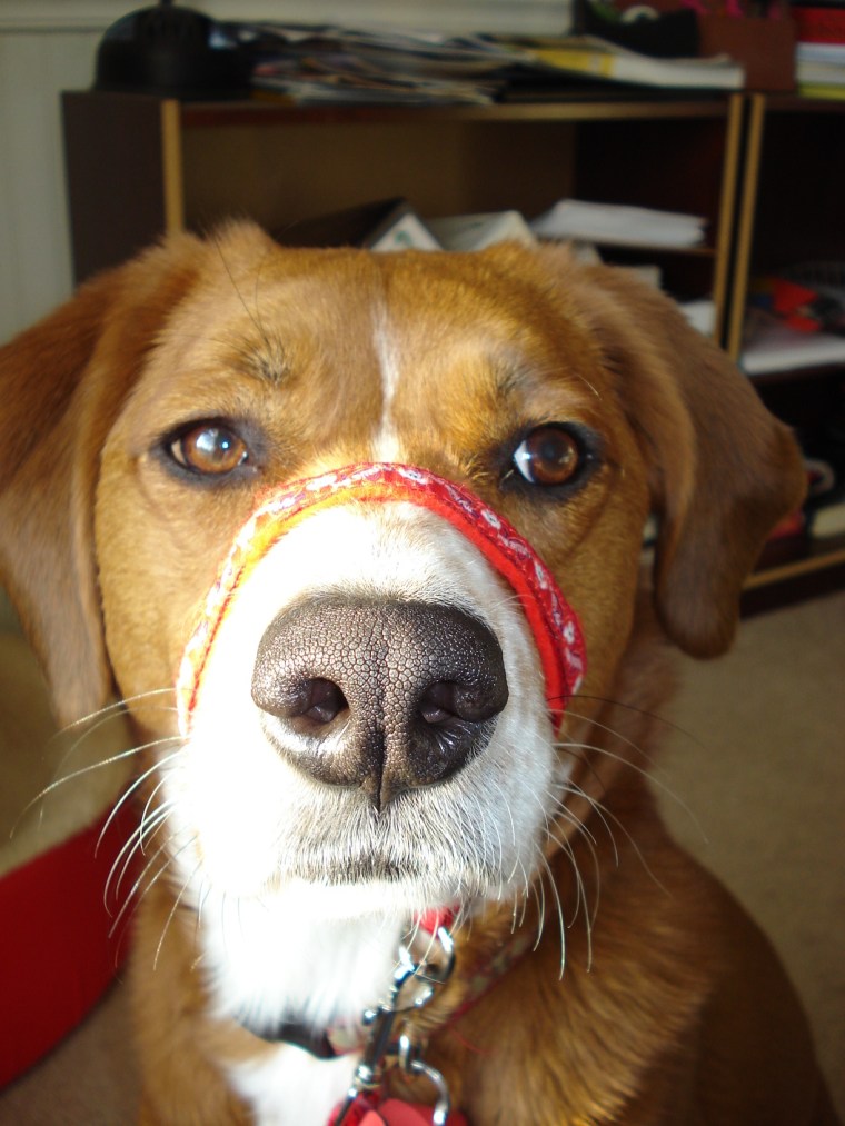 chloe-gl-001 chloe-gl-001