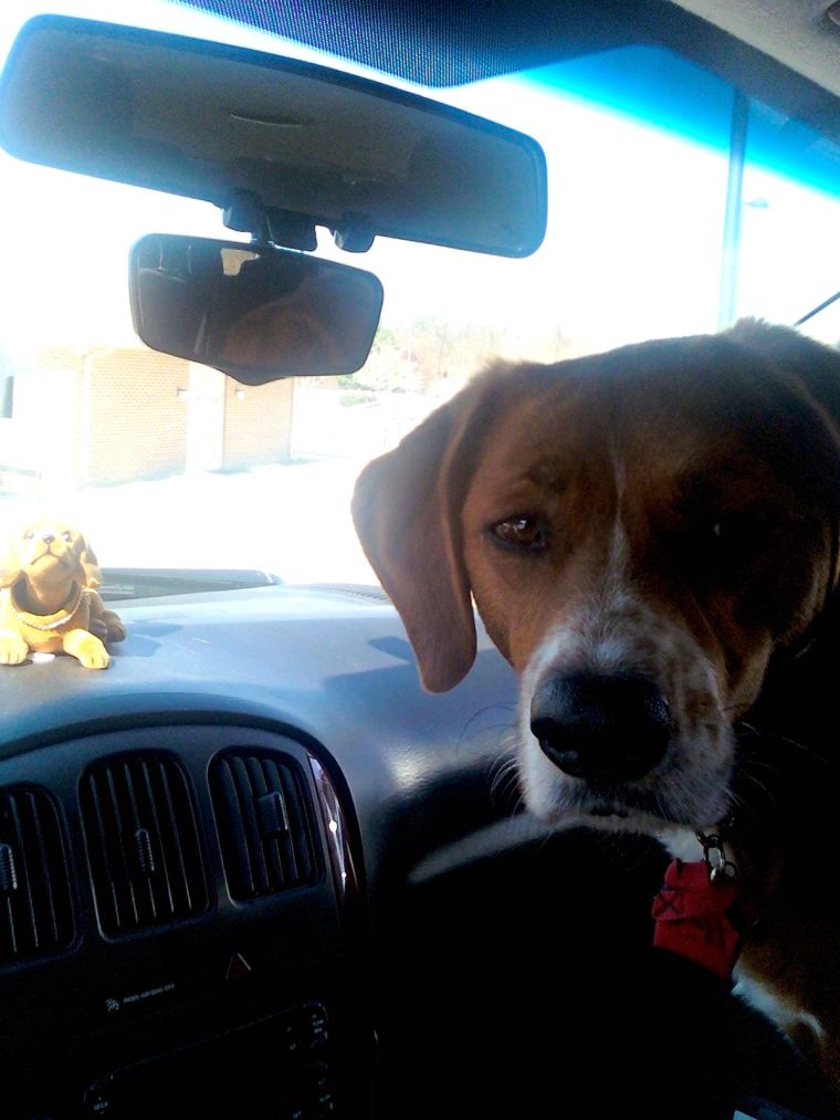 How do I keep an eye on Chloe?