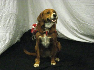 Smiling for the camera!