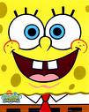 sponge