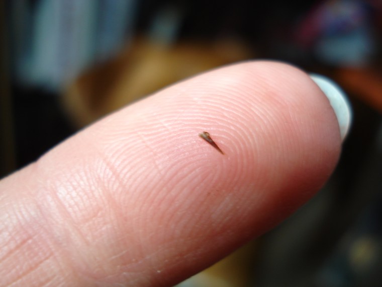 DSC03071 What may look small, can cause BIG trouble!