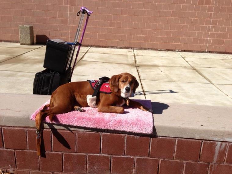 Chloe enjoys some downtime in between classes.