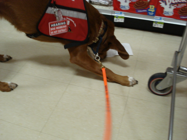 Chloe automatically retrieves a dropped grocery list in the store. I don't have to prompt her first.