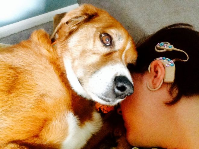 Sometimes you just need to lay down, close your eyes, and hug your dog.