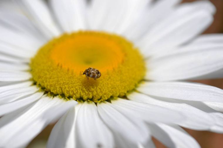 Deborah Marcus, friend and photographer, explains, "I love to hear how what I capture and share gets people to notice stuff they'd probably overlook". I have learned much through seeing what she sees through her camera lens.