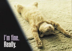 Im_Fine_Really-300x213