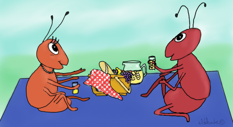 Picnic with Ants